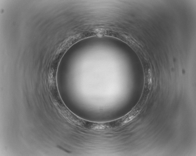 X0000056340611200508261248