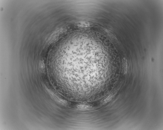 X0000056340614200508261248