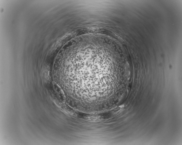 X0000056340615200508261248