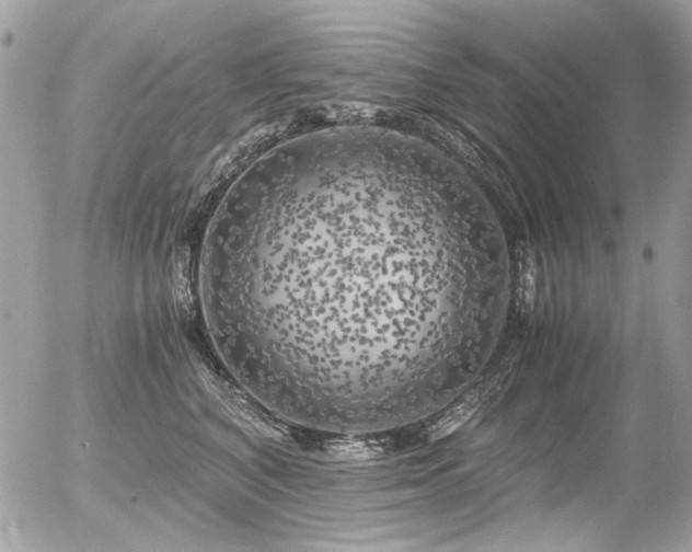 X0000056340616200508261248