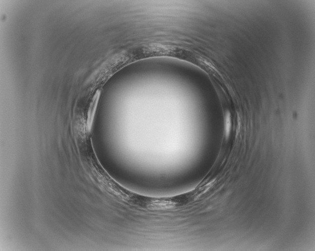 X0000056340617200508261248