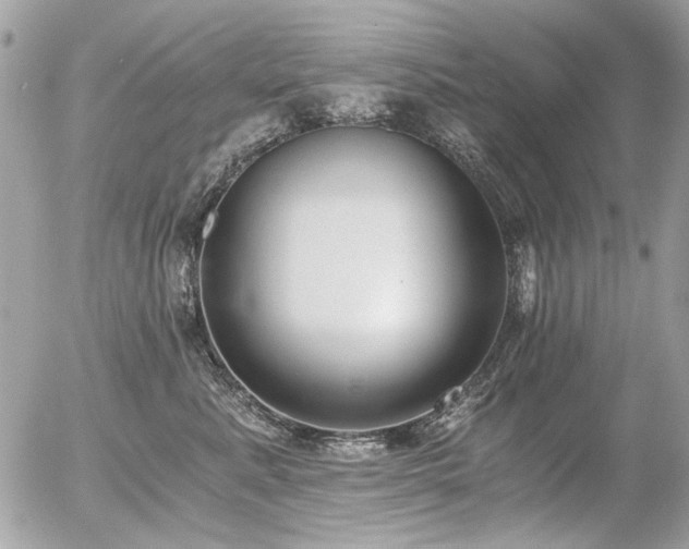 X0000056340619200508261247