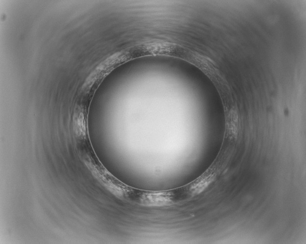 X0000056340622200508261247