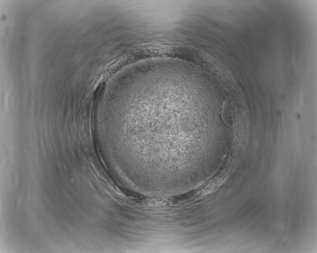 X0000056340624200508261247