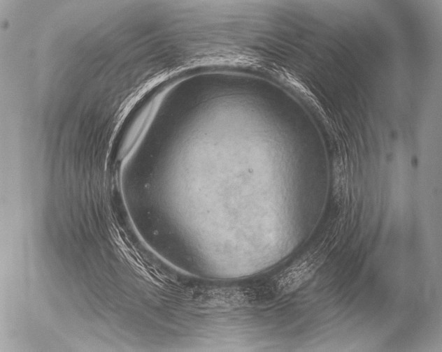 X0000056340628200508261247