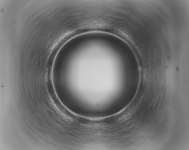 X0000056340629200508261247