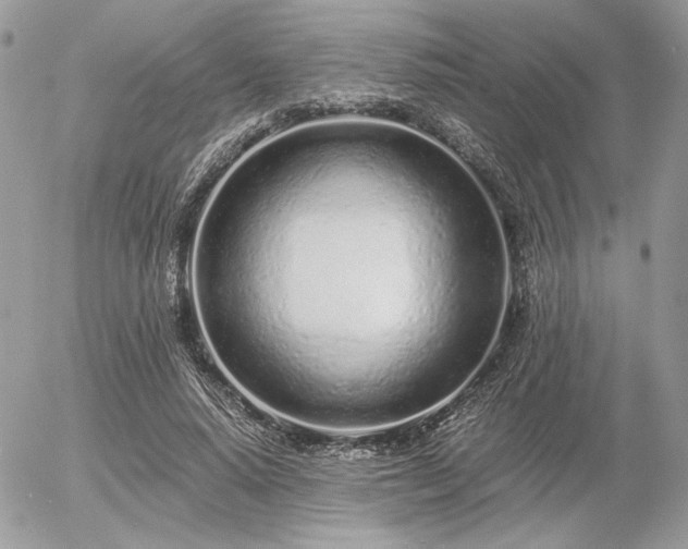 X0000056340640200508261247