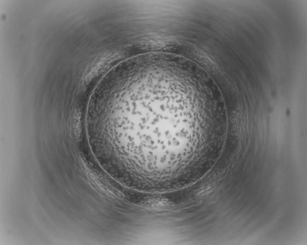 X0000056340642200508261247