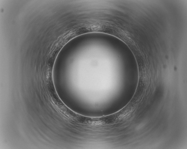 X0000056340645200508261247