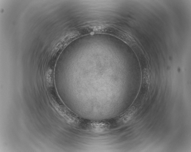 X0000056340650200508261247