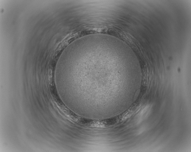 X0000056340656200508261247