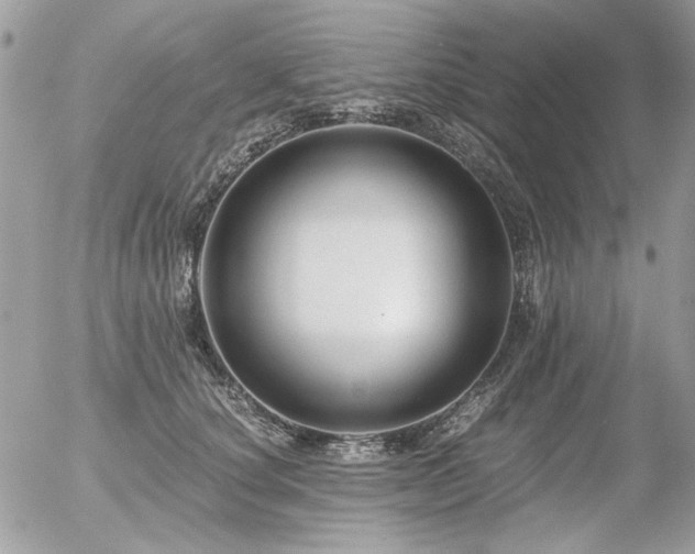 X0000056340660200508261247