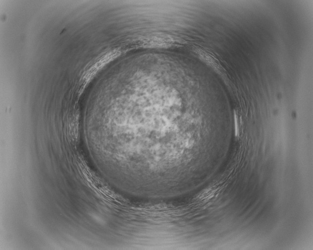 X0000056340675200508261247