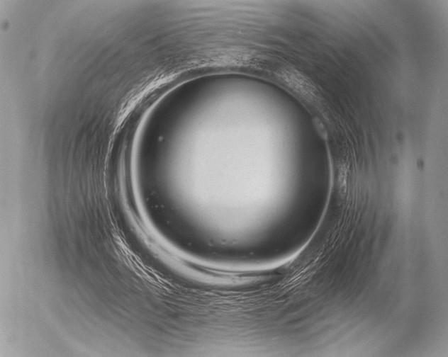 X0000056340676200508261247