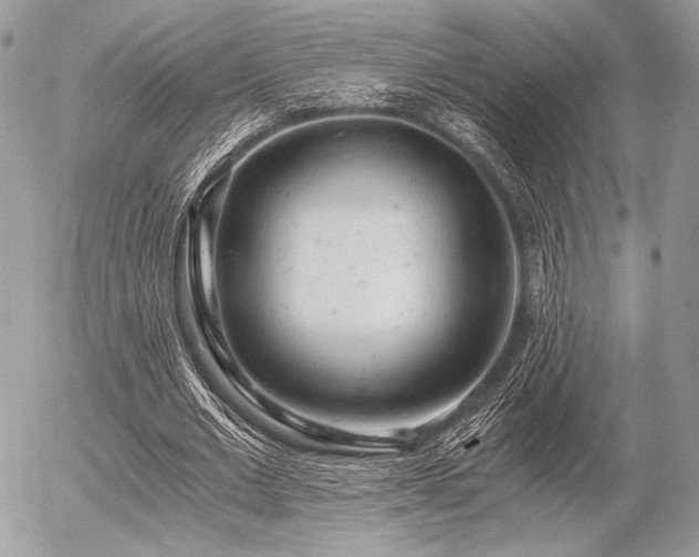 X0000056340677200508261247
