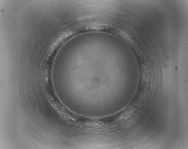X0000056340683200508261246