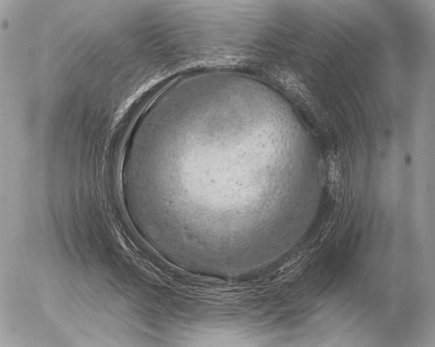 X0000056340684200508261246