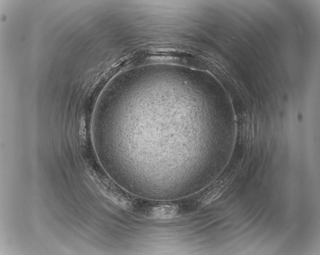 X0000056340700200508261246