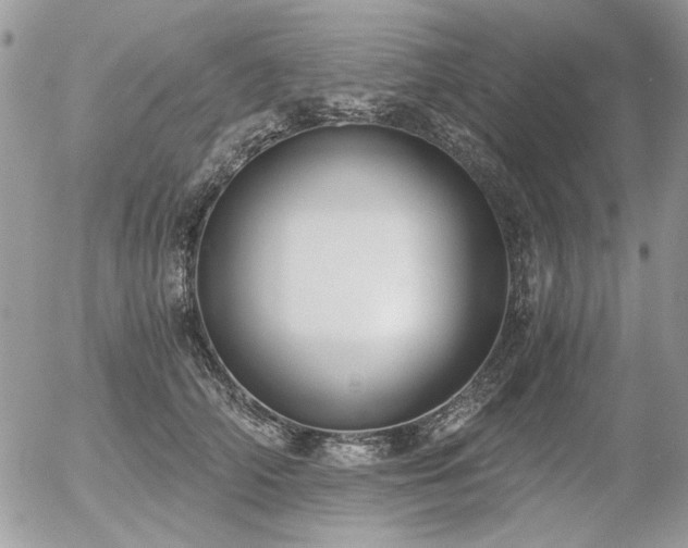 X0000056340706200508261246
