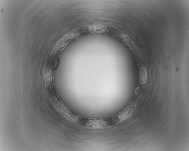 X0000056340713200508261246