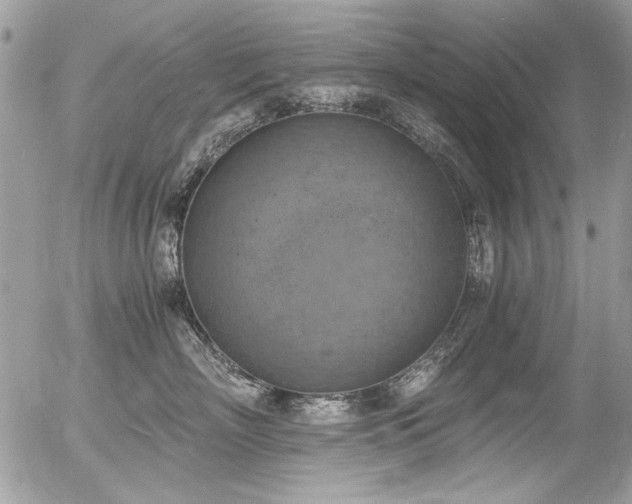 X0000056340718200508261246