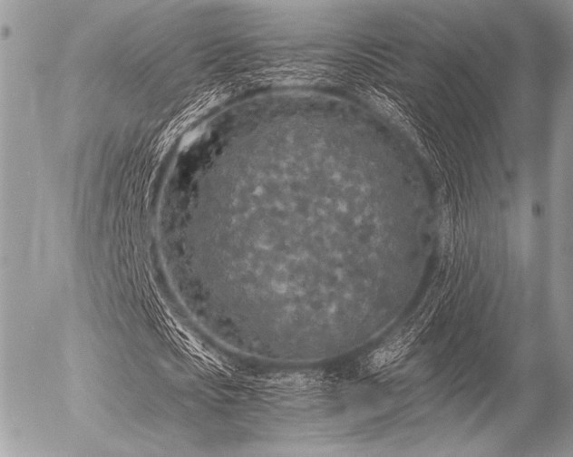 X0000056340721200508261245