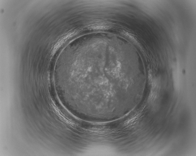 X0000056340725200508261245