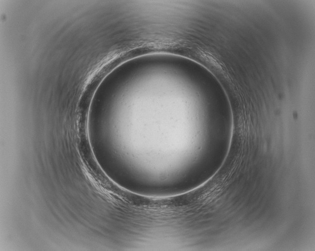 X0000056340730200508261245