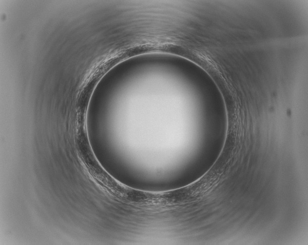 X0000056340736200508261245