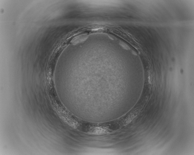 X0000056340737200508261245