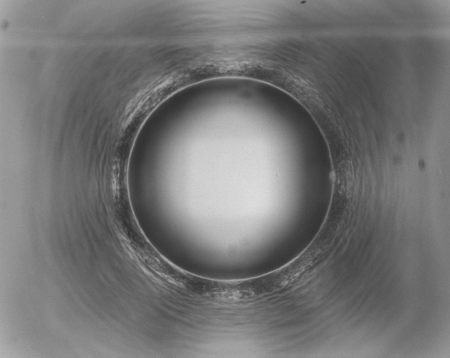 X0000056340740200508261245