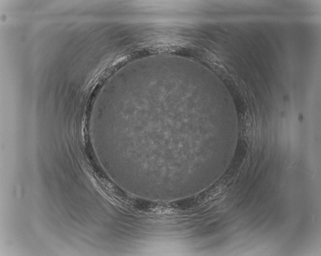 X0000056340742200508261245