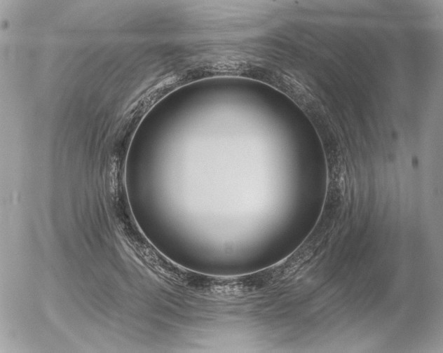 X0000056340744200508261245