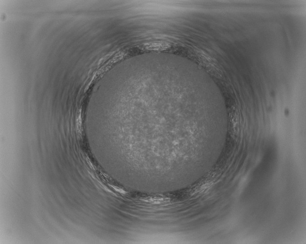 X0000056340745200508261245