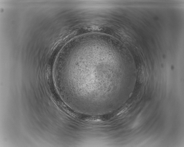 X0000056340747200508261245
