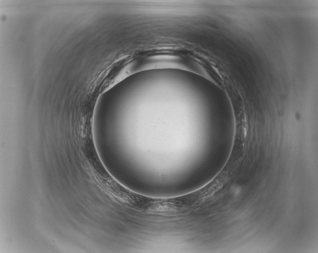 X0000056340750200508261246