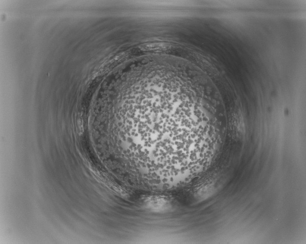 X0000056340751200508261246