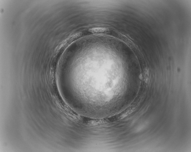 X0000056340763200508261246