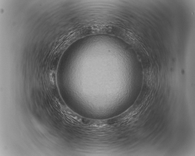 X0000056340770200508261245