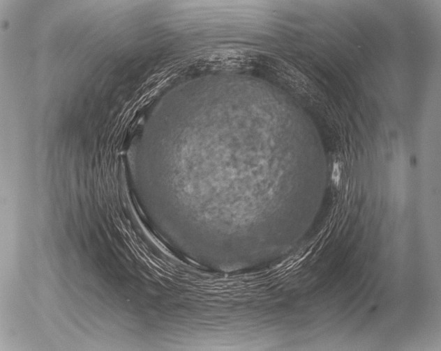X0000056340771200508261245