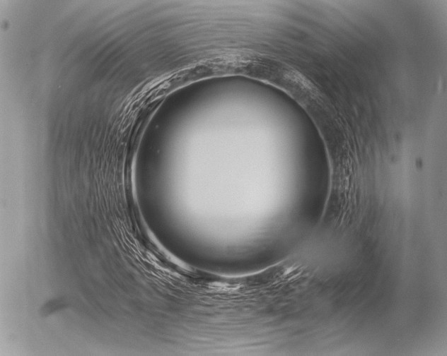 X0000056340773200508261245