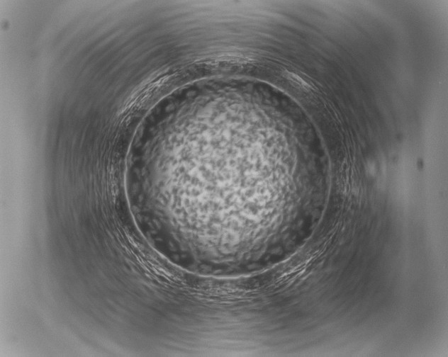 X0000056340774200508261245