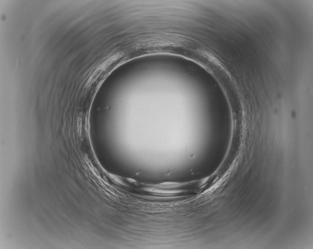 X0000056340777200508261245