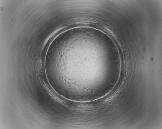 X0000056340779200508261245