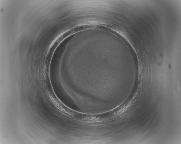 X0000056340783200508261245