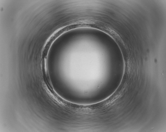 X0000056340784200508261245