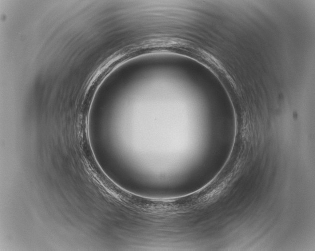 X0000056340786200508261245