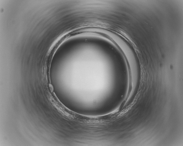 X0000056340788200508261245