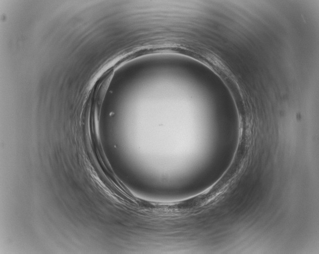 X0000056340789200508261245