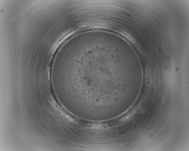 X0000056340790200508261245